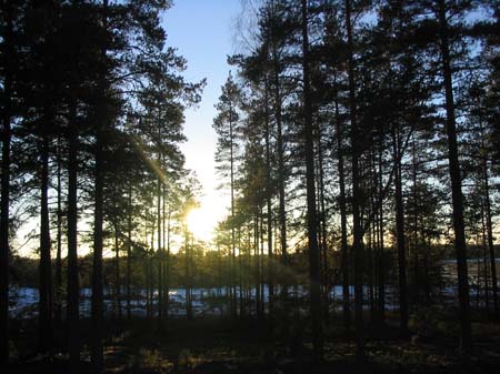 Leirialueella on todistettavasti paistanut aurinko, ainakin kerran - Janne Mikola