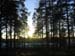 Leirialueella on todistettavasti paistanut aurinko, ainakin kerran - Janne Mikola